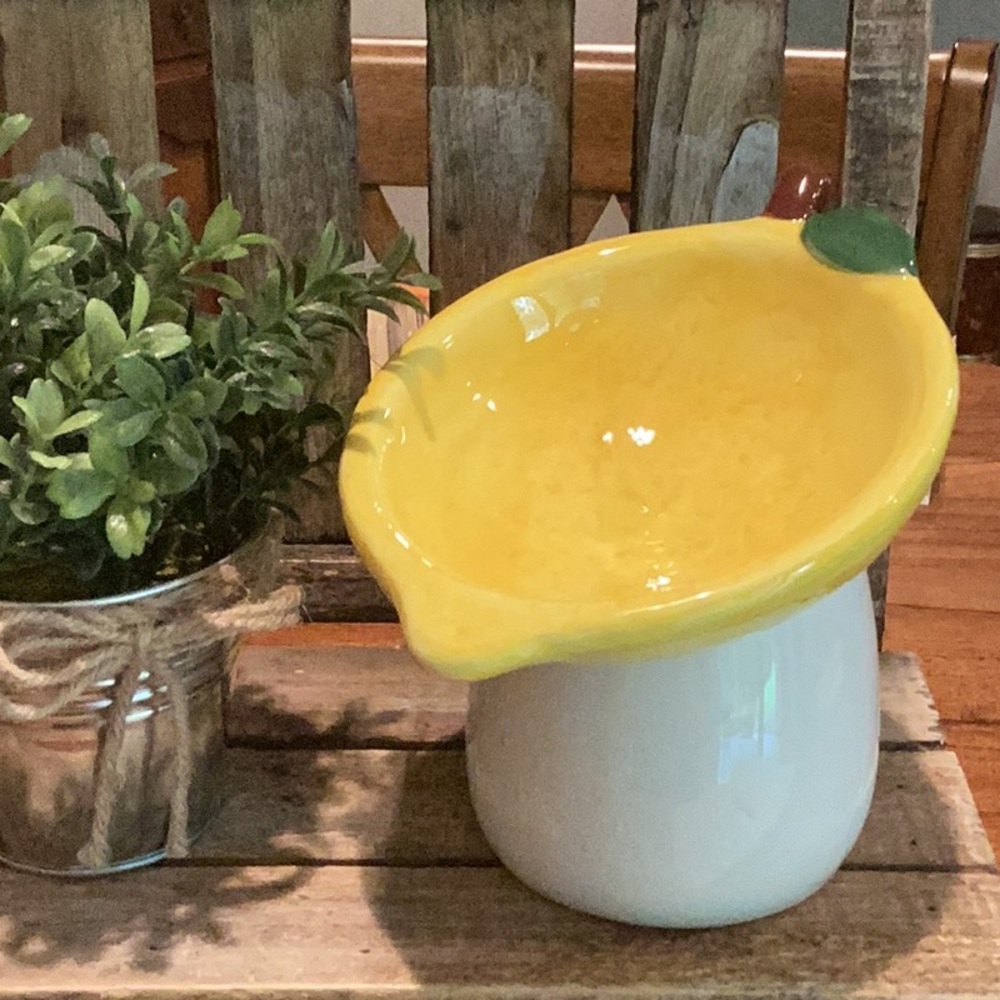 Lemon Pet Bowl